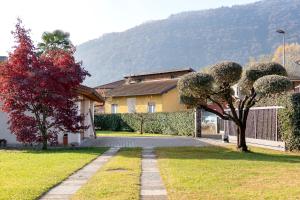 Residenza Jasmine Grey Apartment