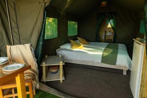 Safari Glamping Portugal Parrot