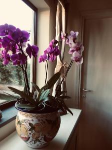 Alloggio Poseidone img17