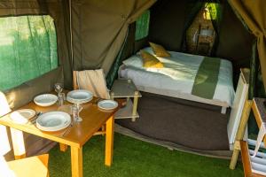 Safari Glamping Portugal Parrot