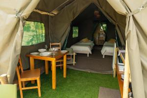 Safari Glamping Portugal Parrot