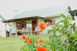 Cicada Cottage Peaceful Drakensberg Retreat