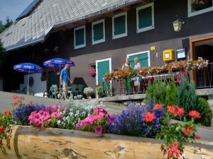 Gasthaus-pension zum Löwen