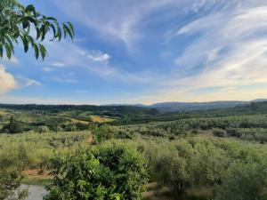 Agriturismo Fattoio alle Ripe