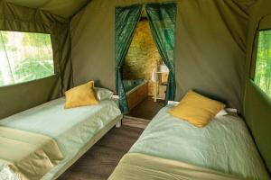 Safari Glamping Portugal Lion
