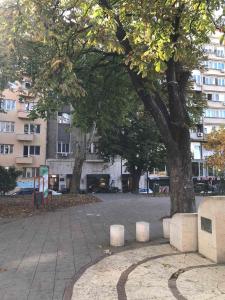 Park Oasis Centerpoint Residence