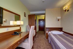 Superior Single Room room in Hotel Beskid