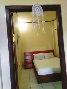 Dewenten Backpacker II