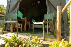 Safari Glamping Portugal Penguin