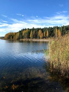 Wohnung mit Dachterasse