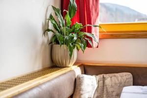 Manuels App Watschinger - Enzian