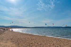 Conchiglia Blu img22