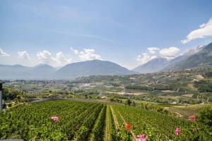 Gartenheim App Elisabeth