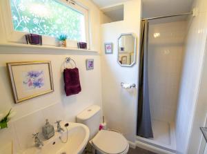 The Den - Winchelsea