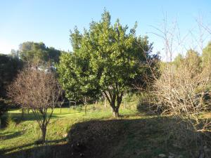 Apartament Can Pujadas