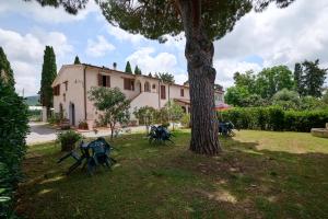 Antichi Palmenti - Erica