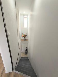 Les petits gaillards