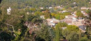 Les Lilas des Chênes