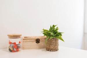 Penthouse With Private Roof Terrace