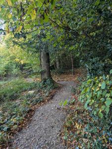 Woodland Cabin - Cotswold Way - Logs & Dogs