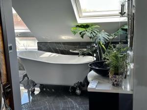 Luxury studio apartment