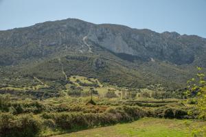 Three-Bedroom Superior Apartment