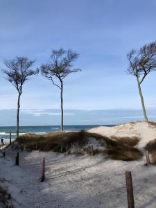 Ferienwohnungen Natur Und Kultur
