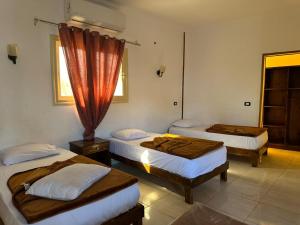 Seven Heaven Hotel Dahab