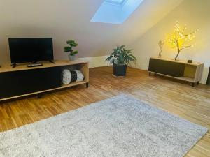 Cozy apartment in Jihlava city centre