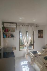 Mimosas Pool & Garden