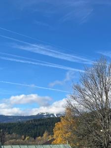 Apartmány Javorská