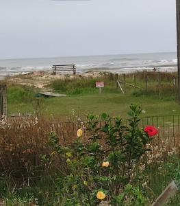 Casa e Sobrado - Beira-mar da Sumaré