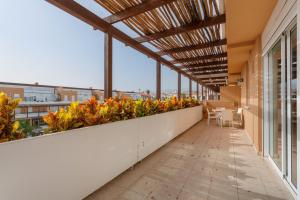 Obsidian Zafiro Amarilla Golf