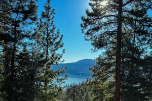 2BR Dog-Friendly Cabin with Lake Views