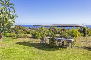 La casa del fico dindia