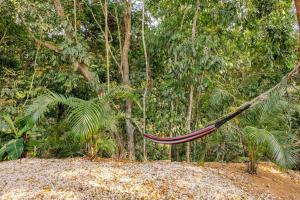 Private Costa Rican Oasis with Pool River Views