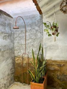 Hermosa casa campestre