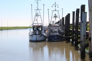 Ferienwohnungen in Neufeld