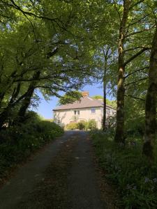 Delightful Dartmoor Apartment