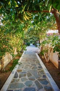 Christinantzela Apartments Samos Greece