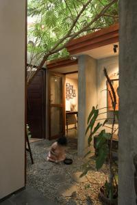 House Of Collectibles