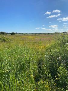 Charming Countryside Retreat Fast Wifi