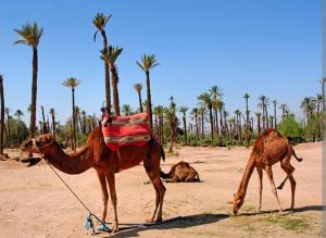 Appartement au cœur de centre ville