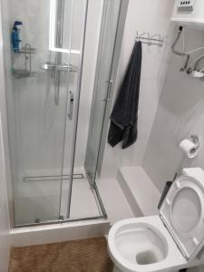 Сучасна квартира в центрі Львова, Галицький район