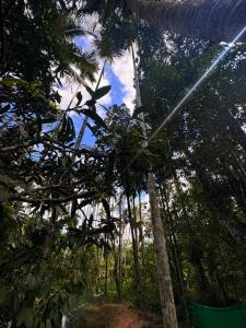 sahara dua jungle farmstay