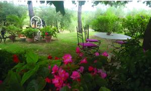 Les Oliviers de Claron