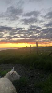 Amazing Sunsets and Sea Views - Lodge Cabin Farm Stay - Caol Ila - Lodge 8