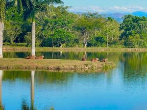 Cabaña Lagos de Mararay