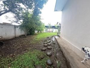 Casa Macabea - La Copa de Oro