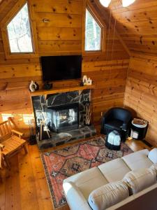 The Grizzly Grove - Ellijay